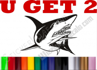 Shark Decal