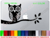 Owl Moonlight Laptop Decal