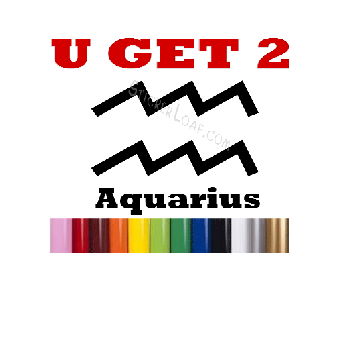 Aquarius Zodiac Astrology Sign Decal Sticker Image